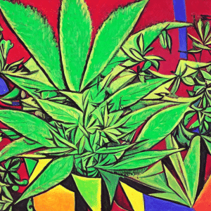 cannabis plants for health