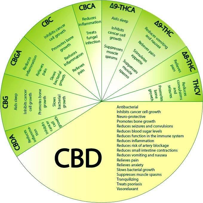 Cannabis for Pain Management: A Systematic Review of Clinical Trials