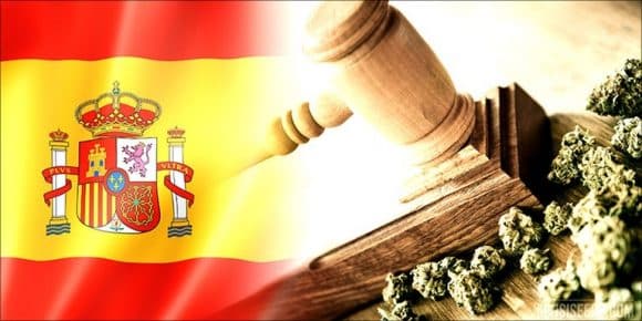 How to Support Cannabis Legalization and Activism in Spain