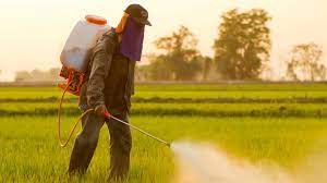 The Risks Associated with Synthetic Fertilizers, Pesticides, and Herbicides