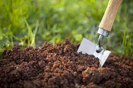 Organic soil amendments and beneficial microorganisms
