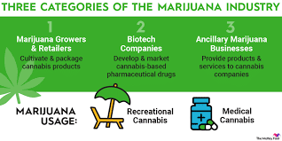 How to Enter the Medical Cannabis Industry